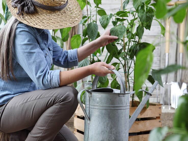 Platzwunder Diese LidlGartenmöbel passen perfekt in deinen kleinen Garten